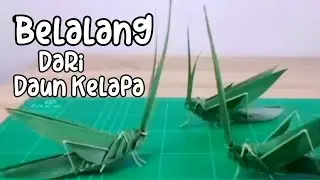 Cara Membuat Belalang dari Daun Kelapa