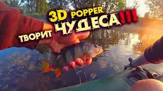 ЭТОТ ПОППЕР УНИЧТОЖАЕТ ОКУНЕЙ и ЩУК ! ЖАРА , СПЛАВ , РЫБАЛКА с ЛОДКИ ! ЗРЕЛИЩНЫЕ ПОКЛЕВКИ !