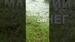 У природы нет плохой погоды             