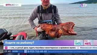 ШОК. Что это за рыба? Сахалинских рыбаков насмешил эфир