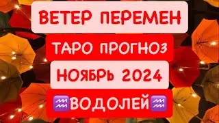 ♒️ВОДОЛЕЙ♒️ ВЕТЕР ПЕРЕМЕН .НОЯБРЬ 2024. ТАРО ПРОГНОЗ