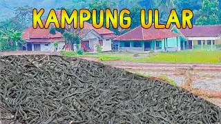 BERANI MAIN KE KAMPUNG INI - 5 KAMPUNG ULAR DI DUNIA
