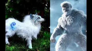 5 Mythical CREATURES That Actually Existed