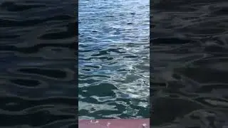 Blue water 