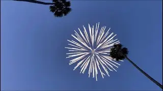 4” Coconut Shell Firework 🥥🌴