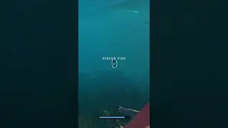 Stranded Deep - Going fishing in the ocean
