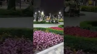 Украина. Александрия. Парк.