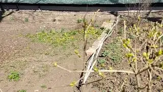 #Мариуполь