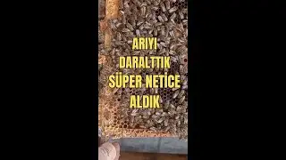 Arıyı Daralttık, Süper Netice Aldık...