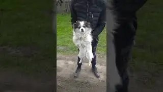 1 Отлов поймал во это Чудо!  Оно бездомыш, как такое может быть?