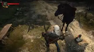 The Witcher 3 Беды с башкой НПС Гусиный полет в кабак