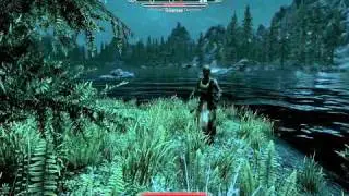 Fisherman's Island Lake Ilinalta - Falkreath Hold Secondary Location Guide - Elder Scrolls 5 Skyrim