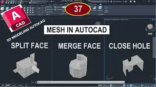 للمبتدئين شرح اوامر التعديل على الرسومات ثلاثية الأبعاد SPLIT FACE,MERGE,CLOSE HOLE MESH IN AUTOCAD