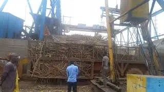 POTENTIAL INVESTORS' EVALUATION OF NZOIA SUGAR COMPANY.