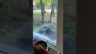 Всем здоровья и берегите свою жизнь, она у нас одна .....❤️🙏