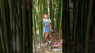|🎋|#LisyaQuadrober#quadrober# quadrobics#Rek#lisyaquadrober#lisya#bamboo#Sochi2024#FoxQuadrober#