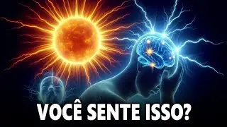 O SEXTO SENTIDO foi COMPROVADO - a MAGNETORECEPÇÃO É REAL e pode ser ATIVADA com TEMPESTADES SOLARES