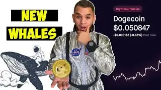 DogeCoin New Whale Alert