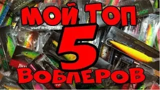 My TOP 5 LURES of 2019 !!! Think out loud.