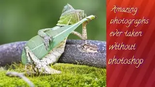 #amazingphotography