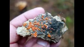 На месторождение Урала за крокоитом