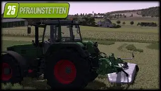 LS25 PFRAUNSTETTEN - LET'S TEST  