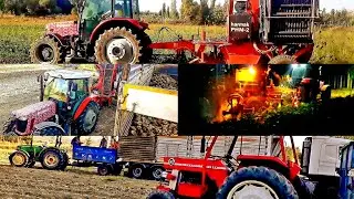 ŞEKER PANCARI Hasadı Makina Sökümü