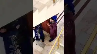 запал