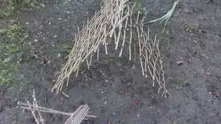 Хижина Робинзона Крузо
