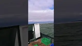 ВНИМАНИЕ! ЧТО ВНУТРИ ВАС!?