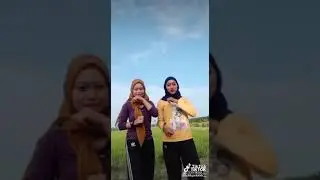 Awek tudung