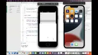 9742735256 - Navigation in iOS - How to move one view controller to another while carrying data