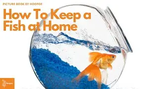 Story# 11 | How To Keep a Fish at Home | Picture Book Story | Under 6 Reading #hoopoeenglish