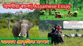 অসমীয়া ৰচনা||অসমৰ প্ৰাকৃতিক সম্পদ|Assamese Essay|Natural Resources of Assam|আৰম্ভণিৰ পৰা সামৰণি লৈকে
