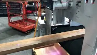 Metal Detector in Wood Jetshot Marking