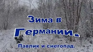 Зима в Германии.Павлик и снег.