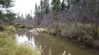 Дождливое воскресенье. Серия 3. Выход