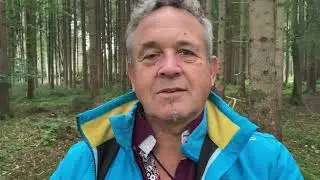 Bist du schon zum Mindflow Basisseminar mit Josef angemeldet?