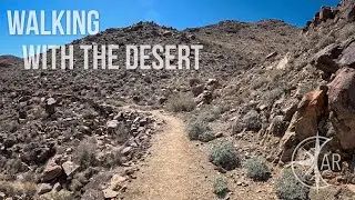 Walking With the Desert and With Sand, Rock, and Sky