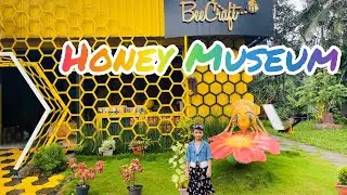 ‘Bee Craft’ Honey Museum@Vythiri# Fizus channel