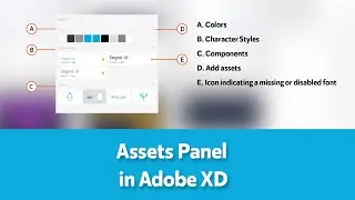 adobe XD assets panel tutorial in telugu