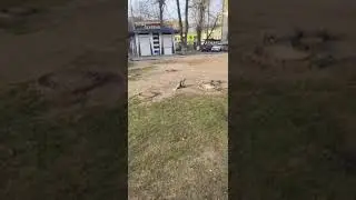 ЦЫПАЦЫПАЦЫПАЦЫПА