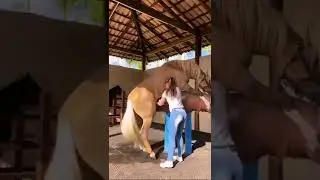#shorts