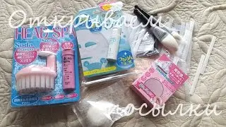 Открываем заморские посылки (Brush Guards, Japan Gals)
