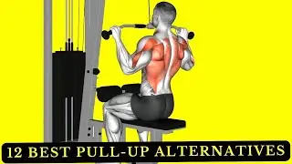12 Best Pull-Up Alternatives for a Stronger, Wider Back