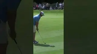 You won't see a WILDER birdie today. Wow Talor Gooch! 🤯 #livgolf #shorts