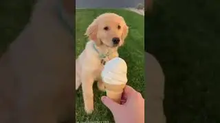 a little positive for you   part 3