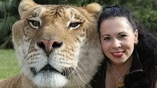 Top 10 Most Unbelievable Hybrid Animals in the world