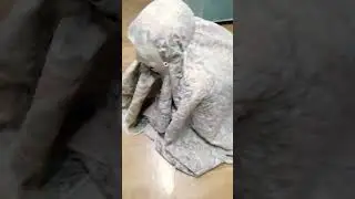 НА МЕНЯ НАПАЛ СНЮСОЕД