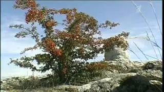 Непутевые заметки, Болгария, часть 2